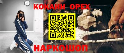 ГАЛЛЮЦИНОГЕННЫЕ ГРИБЫ Кандалакша