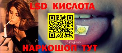 гашик Камышлов