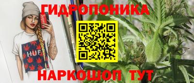 прущие крисы Канаш