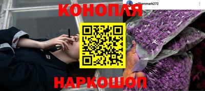 прущие крисы Канаш
