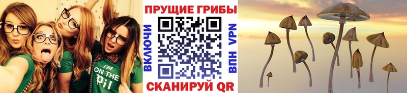 Псилоцибиновые грибы Psilocybe  Красногорск 