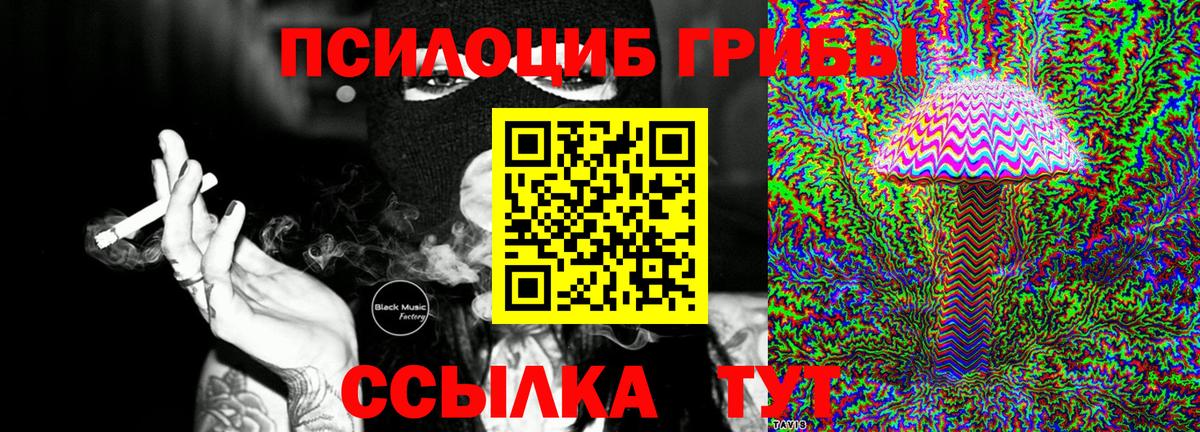 Галлюциногенные грибы Psilocybine cubensis  Псилоцибиновые грибы мицелий  Красногорск  Вход с VPN 