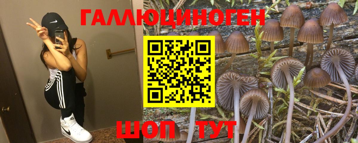 Галлюциногенные грибы прущие грибы Красногорск